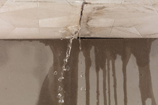 Professional Water Extraction technician working in La Crescent, MN